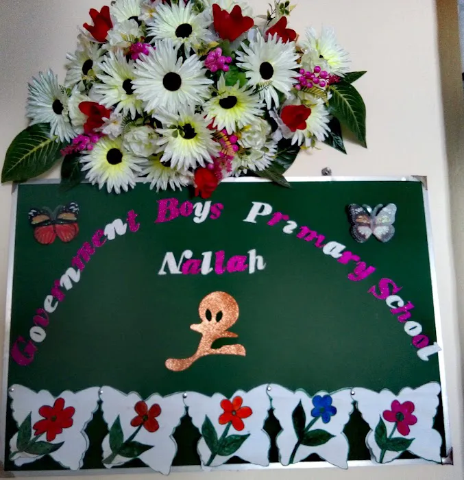 Govt. Boys Primary School Nallah Picture 3