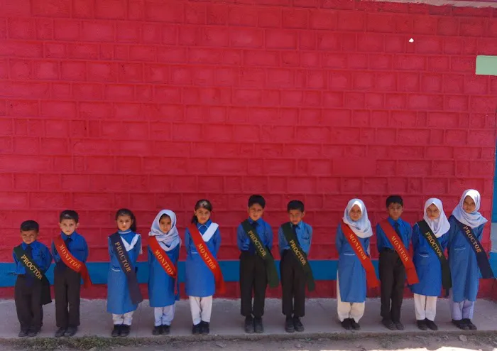 Govt. Boys Primary School Nallah Picture 1