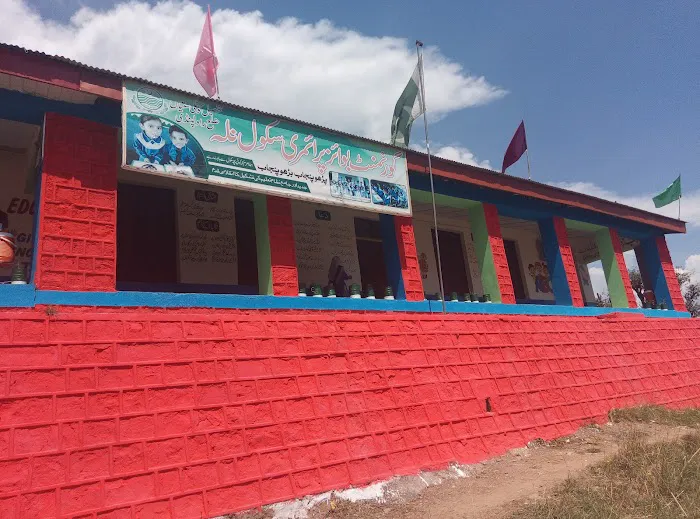 Govt. Boys Primary School Nallah Picture 2