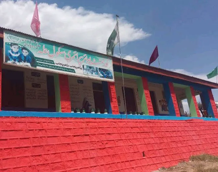 Govt. Boys Primary School Nallah Picture 4