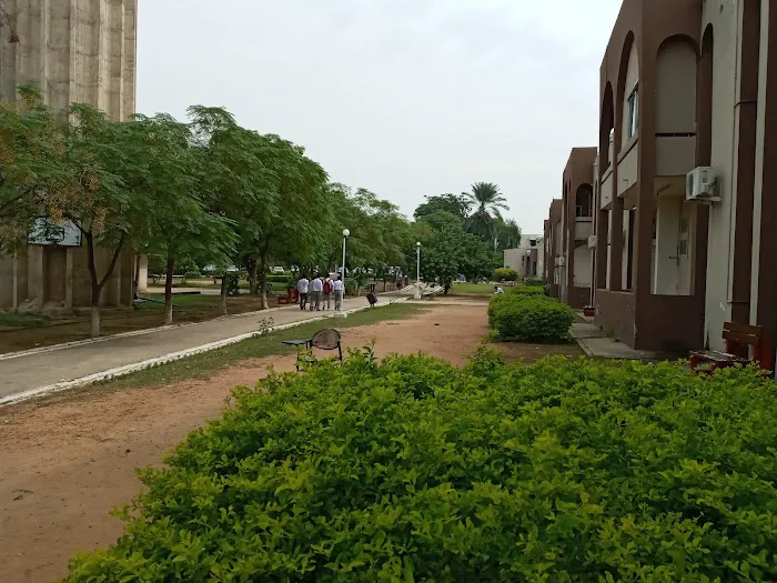 Riphah International University Picture 2