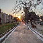 Riphah International University