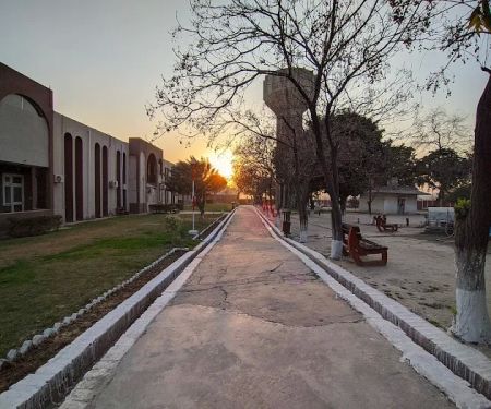 Riphah International University