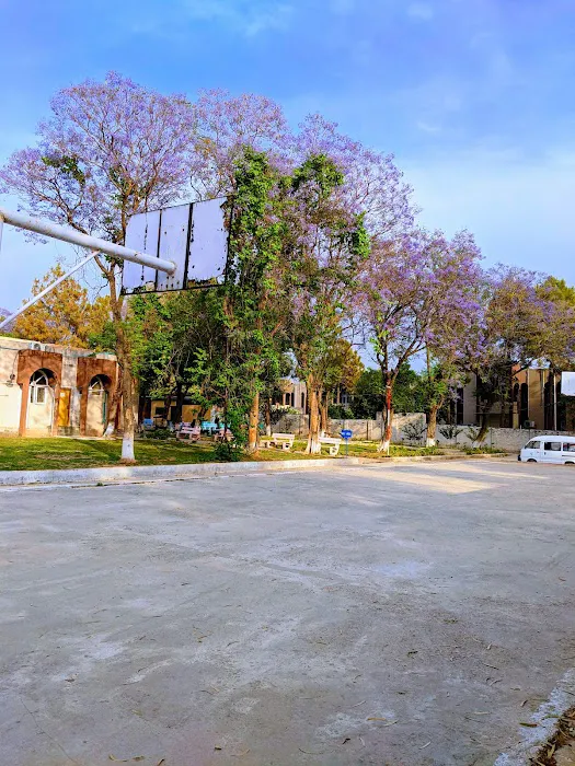 Riphah International University Picture 10