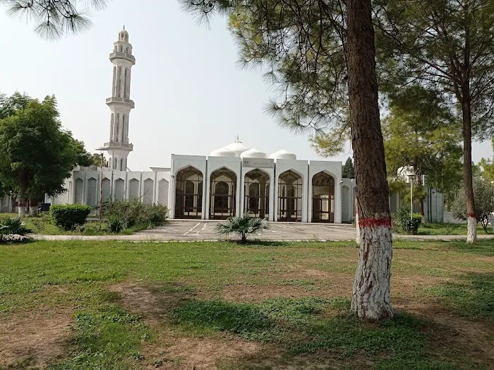Riphah International University Picture 5