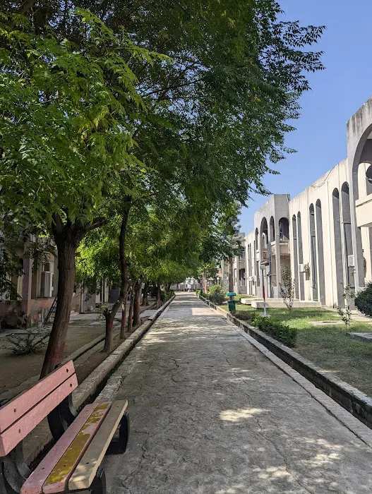 Riphah International University Picture 9