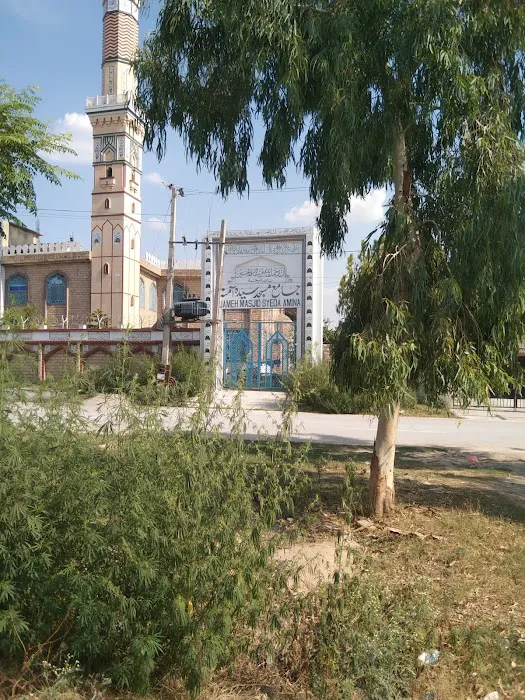Main Gate, Jamia Amina Zia ul Banaat Picture 2