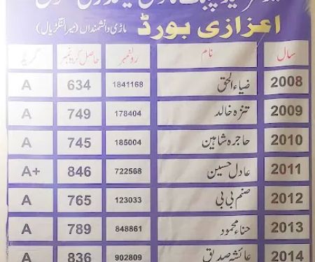 New Sir Syed Public model secondary school Marri Danishmandan