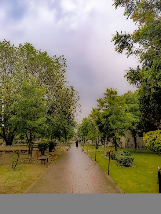 University of Wah Picture 10
