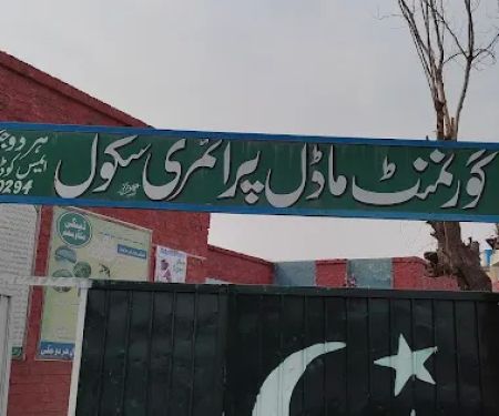 Government boys primary school (Hardojuggi)