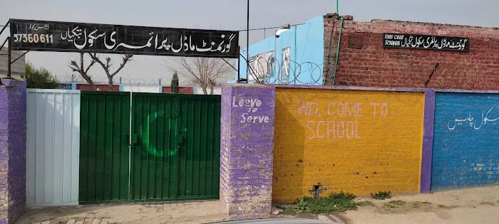 Govt Model Primary School Tubkian Picture 1