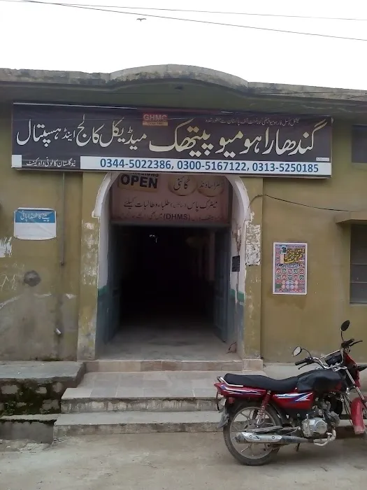 Gandhara Homoeopathic Medical College Picture 1
