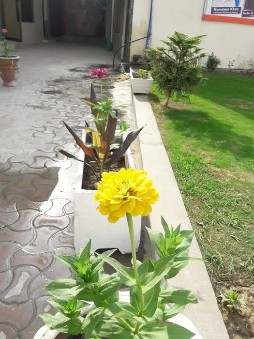 Punjab Superior College Picture 2