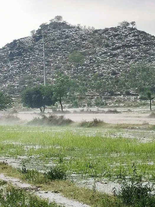 GPS bandi gulloo Picture 1