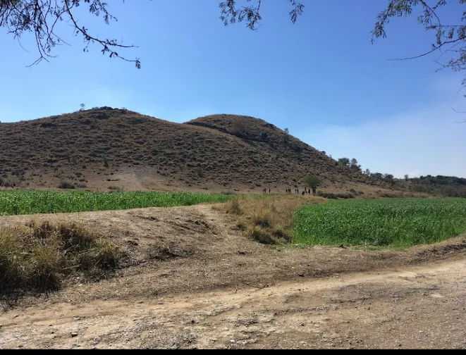 GPS Kali Tarar Picture 4