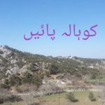 GGPS Kohala Payain