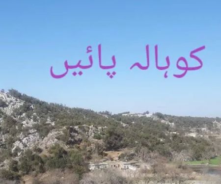 GGPS Kohala Payain