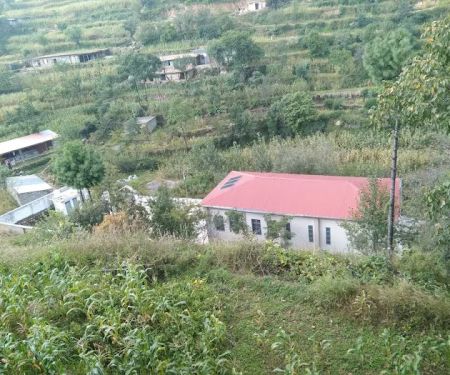 Government Primary School Tarala