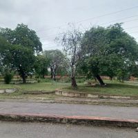 Islamabad Model Postgraduate College (For Men) ico