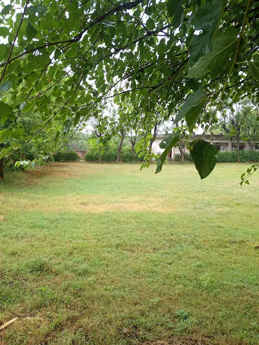 Islamabad Model Postgraduate College (For Men) Picture 6