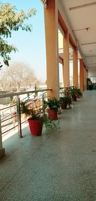 Directorate of Purchase and Stores Picture 8