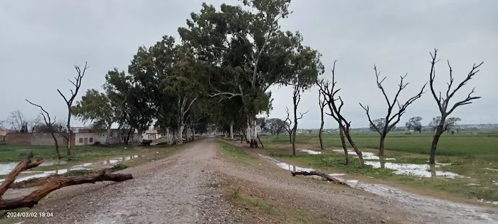 Dhoke Arzan Qazi primary school Picture 1