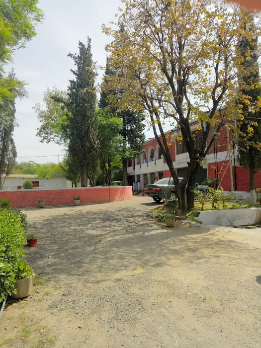 Govt. Degree College For Boys Picture 3