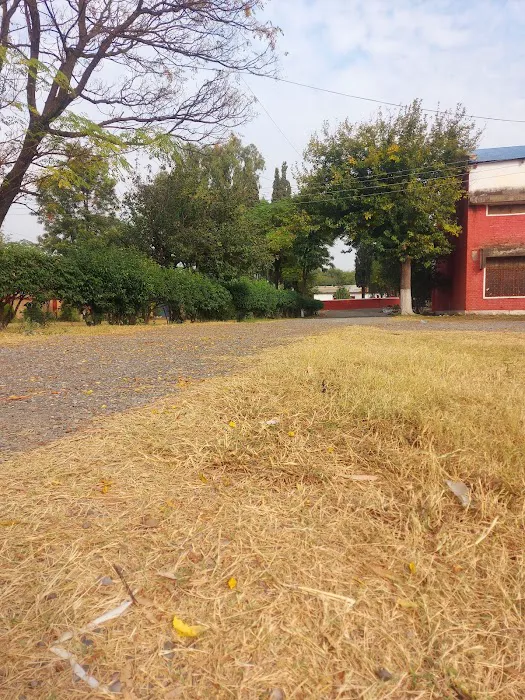 Govt. Degree College For Boys Picture 5
