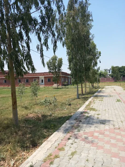 Government Associate College for Women Sohawa Picture 6