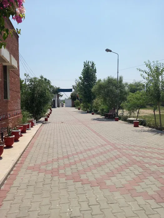 Government Associate College for Women Sohawa Picture 7