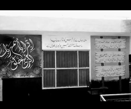 The Viser College