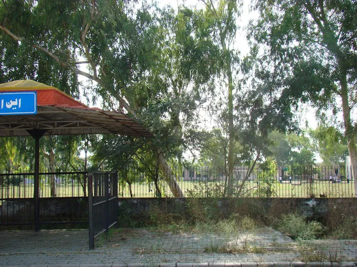 Government Associate College Sohawa (Boys) Picture 3