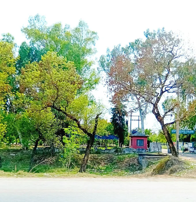 Government Associate College Sohawa (Boys) Picture 7