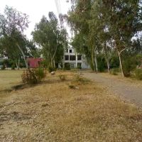 Government Associate College Sohawa (Boys) ico