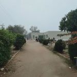 Govt. Boys High School Jangal