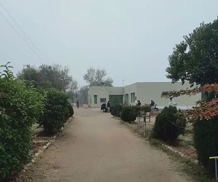 Govt. Boys High School Jangal