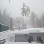 Residence Principal Government College Of Commerce Murree