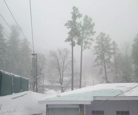 Residence Principal Government College Of Commerce Murree
