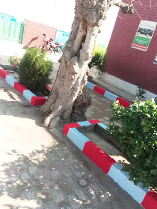 GOVERNMENT PRIMARY SCHOOL MOHRA HAYAT Picture 4