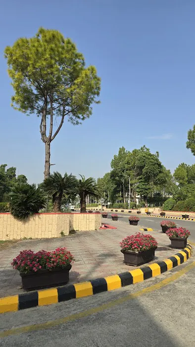 Allama Iqbal Open University Main Campus H-8 Picture 2