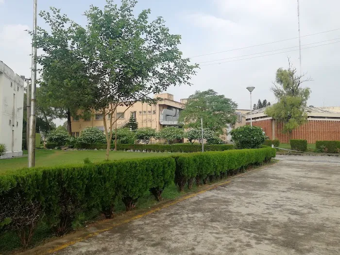 Allama Iqbal Open University Main Campus H-8 Picture 8
