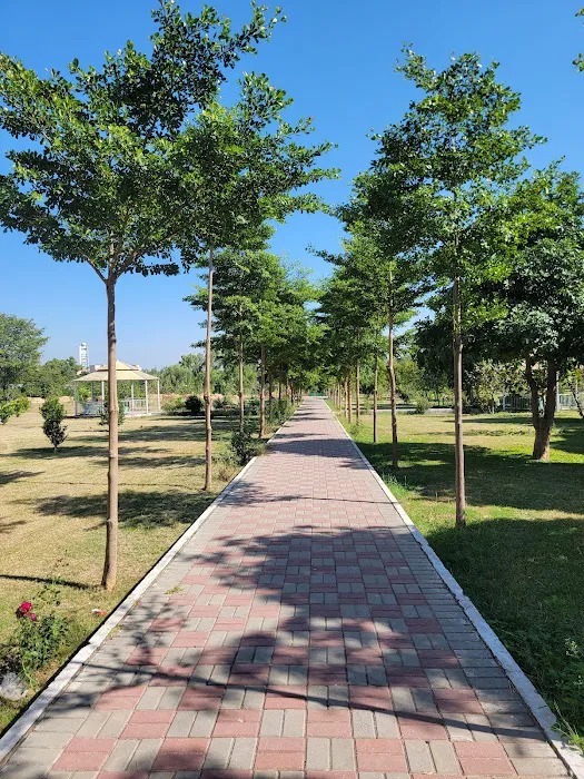 Allama Iqbal Open University Main Campus H-8 Picture 10