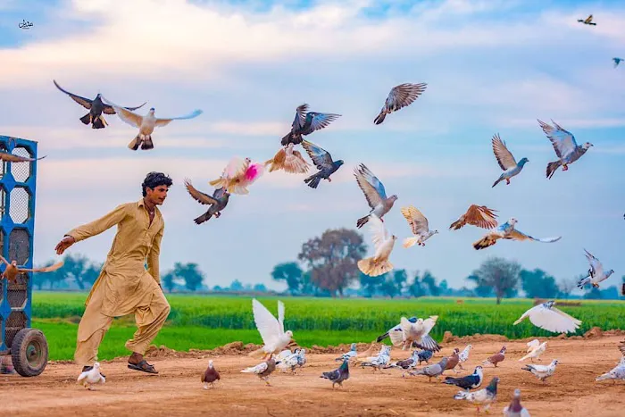 سمارٹ ماِنئڈز سکول رنگیلا روڈ کیمپس Smart Minds School Picture 9