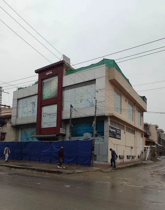 Organon Schooling Concept Wah Cantt Picture 1