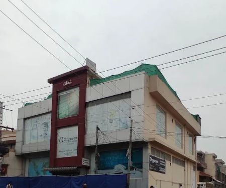 Organon Schooling Concept Wah Cantt