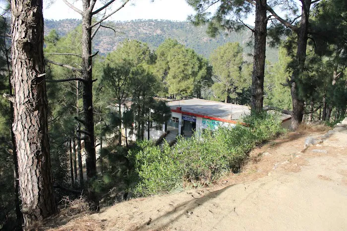 FG Primary School Malwar Picture 7