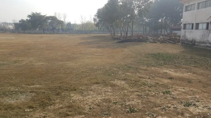 Cricket Ground NSU Picture 4