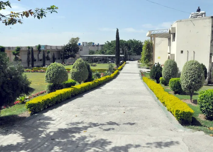 F.G Liaquat Ali Degree College Picture 8