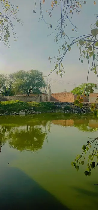 GMPS DHOKE GUJRI Picture 7