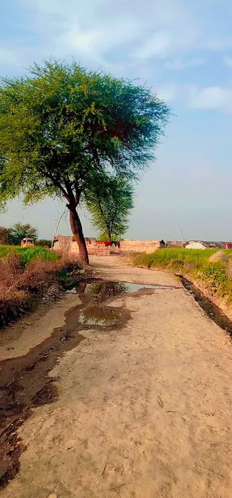 GMPS DHOKE GUJRI Picture 3